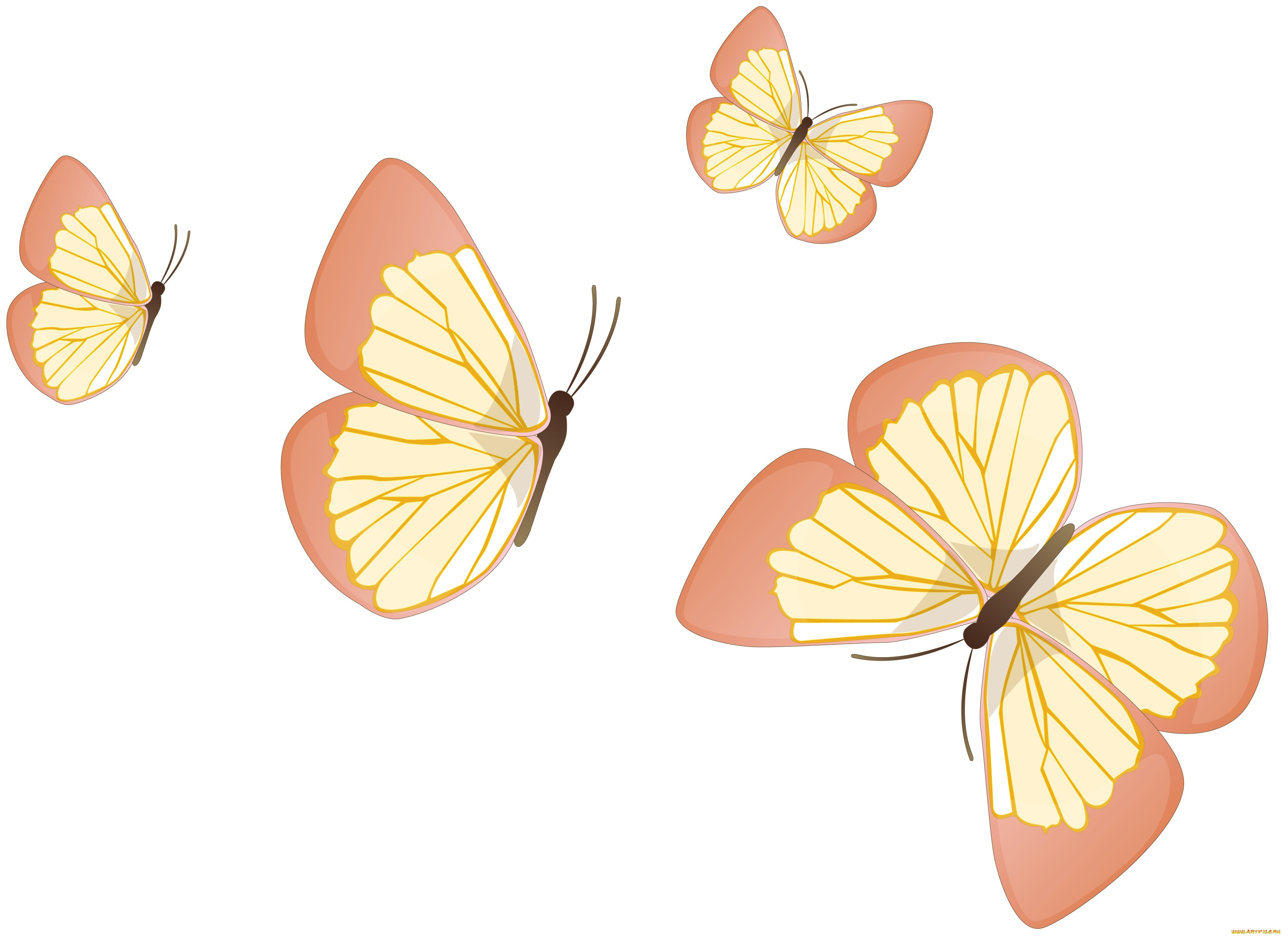 Бежевые бабочки